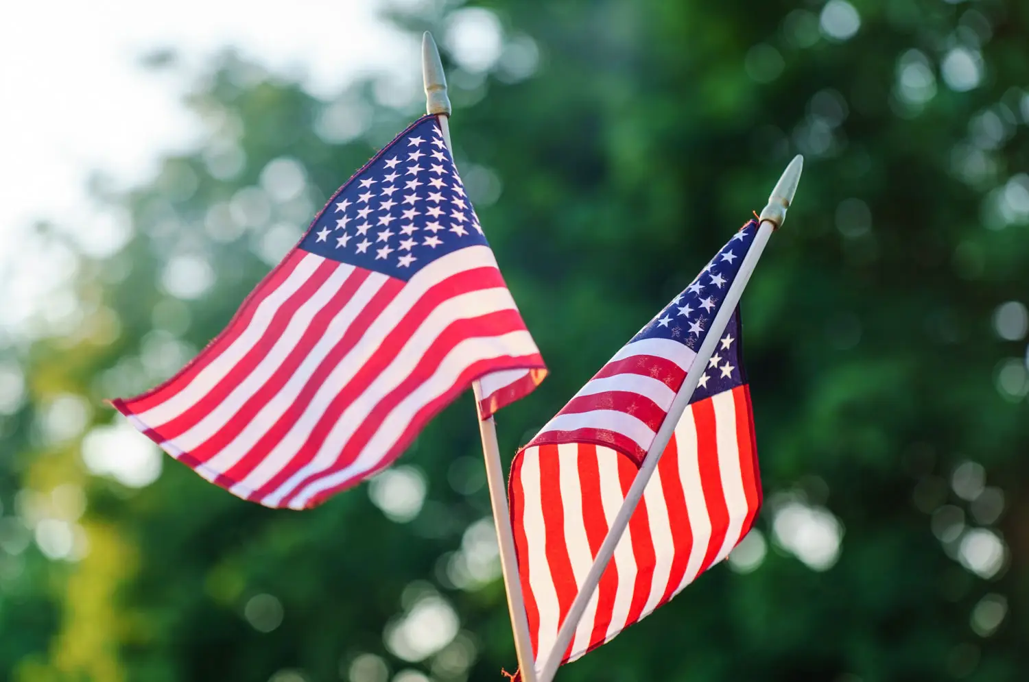 Read more about the article Honoring Veterans with Smiles